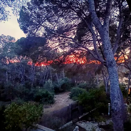 Landscape Casa De Madera Tarragone