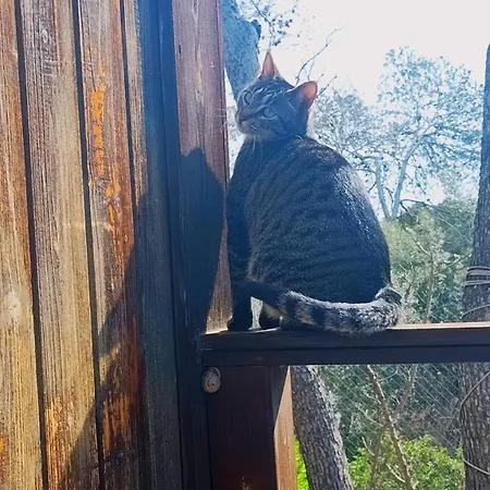 Prázdninový dům Landscape Casa De Madera *