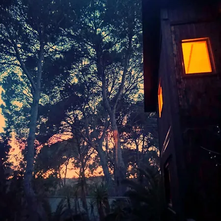 Landscape Casa De Madera *